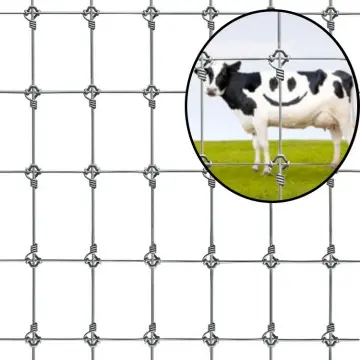 Hot Dipped Galvanized Ranch Fence Farm Fence (Field Fence)