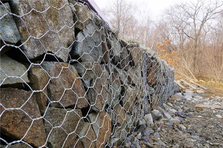 Flexible Slope Protection (6)