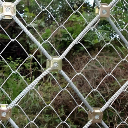 Active Rockfall netting (3).jpg