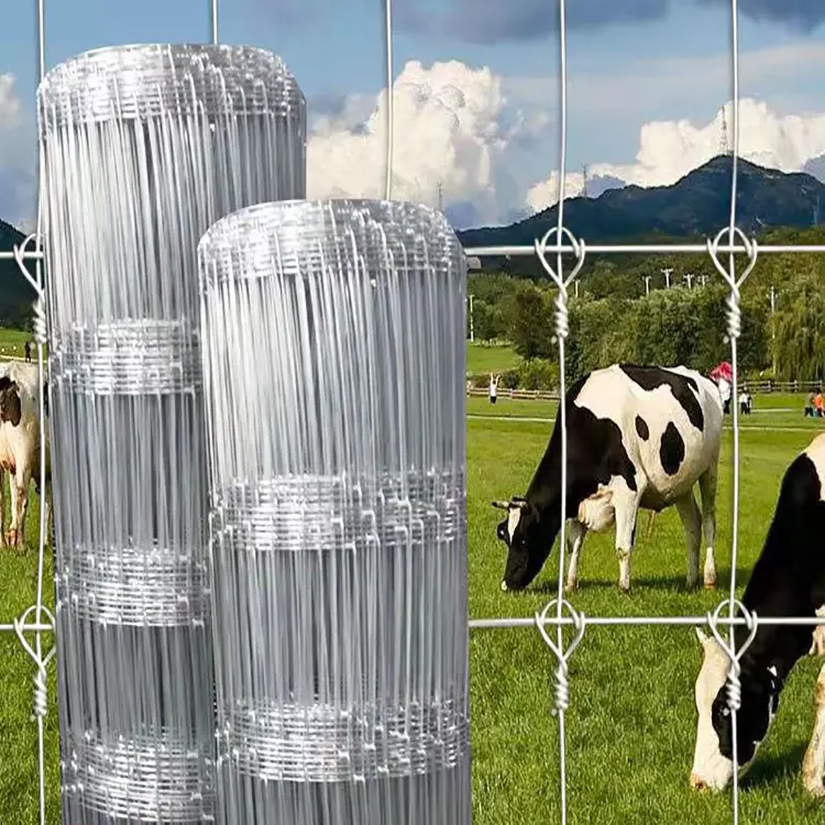 Ranch Fence (4)