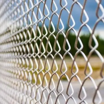 Galvanized Chain Link Fence