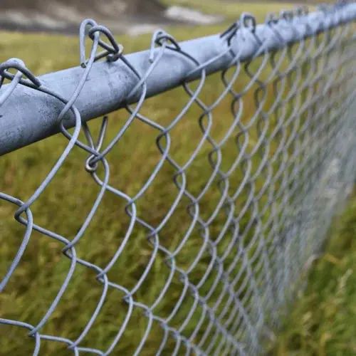 Galvanized Chain Link Fence
