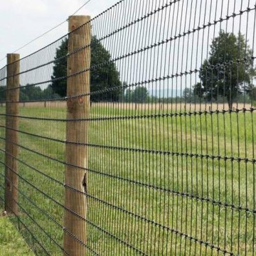 Farm Field Fence - Wire Fence for Cattle, Horse, Sheep