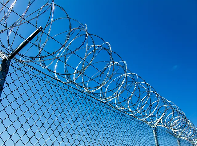 Забор Из Колючей Проволоки