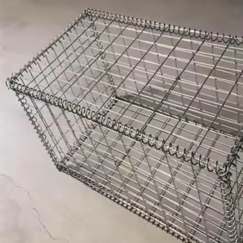 1 (5).jpg