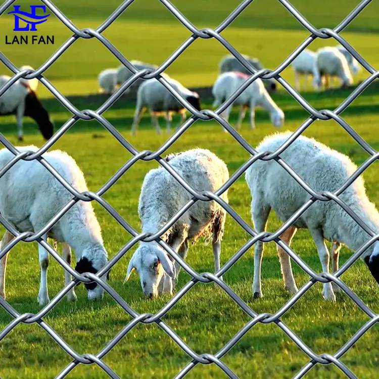Chain Link (2)