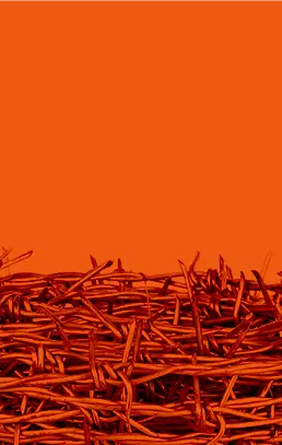 Посмотретьбольше