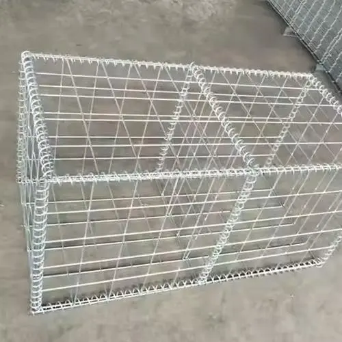 1 (4).jpg