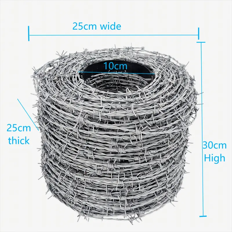Barbed Wire (5).jpg