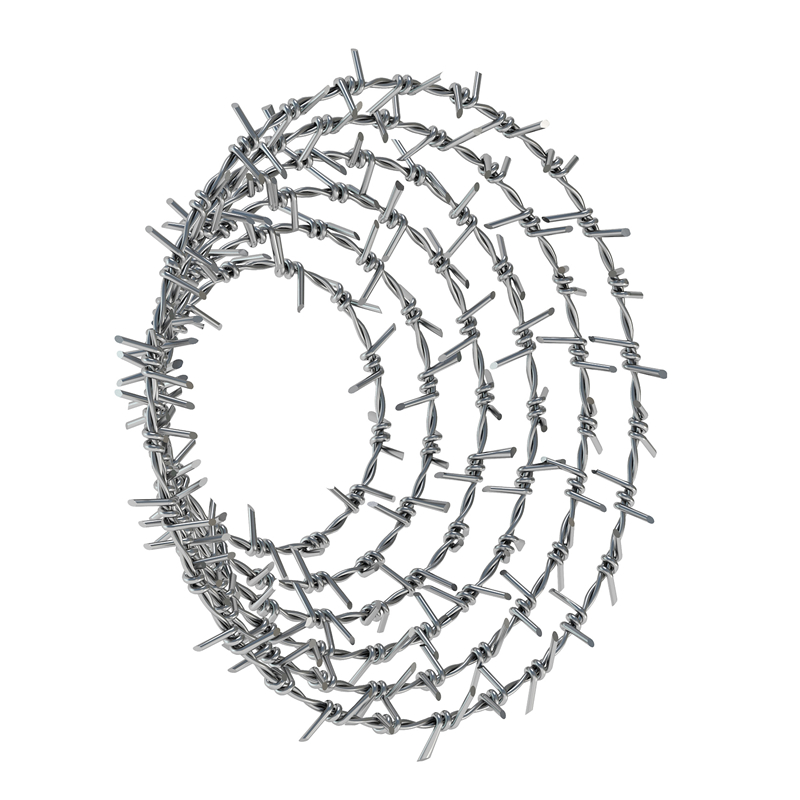Barbed Wire (4).jpg