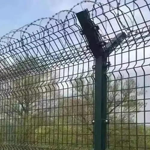 1 (2).jpg