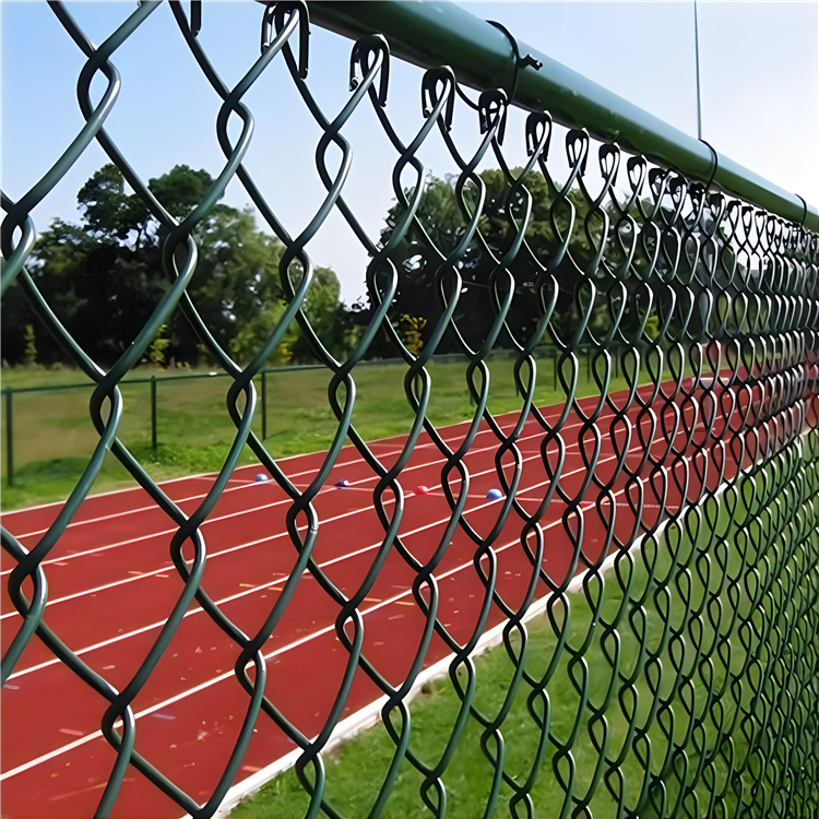 Chain Link (3)