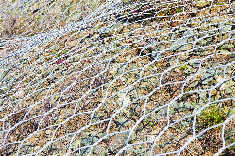 Flexible Slope Protection (3)