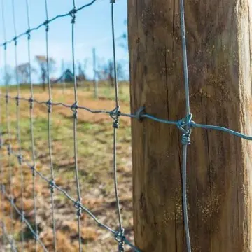 Anti-rust Farm Fixed Knot Cattle Fence Woven Livestock Deer Mesh Fence Hot Dipped Galvanized Field Grassland Fence